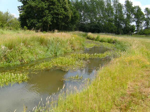 De Zwarte Beek te Zelem, de vallei is een gigantisch gebied die meerdere gemeenten overspant.